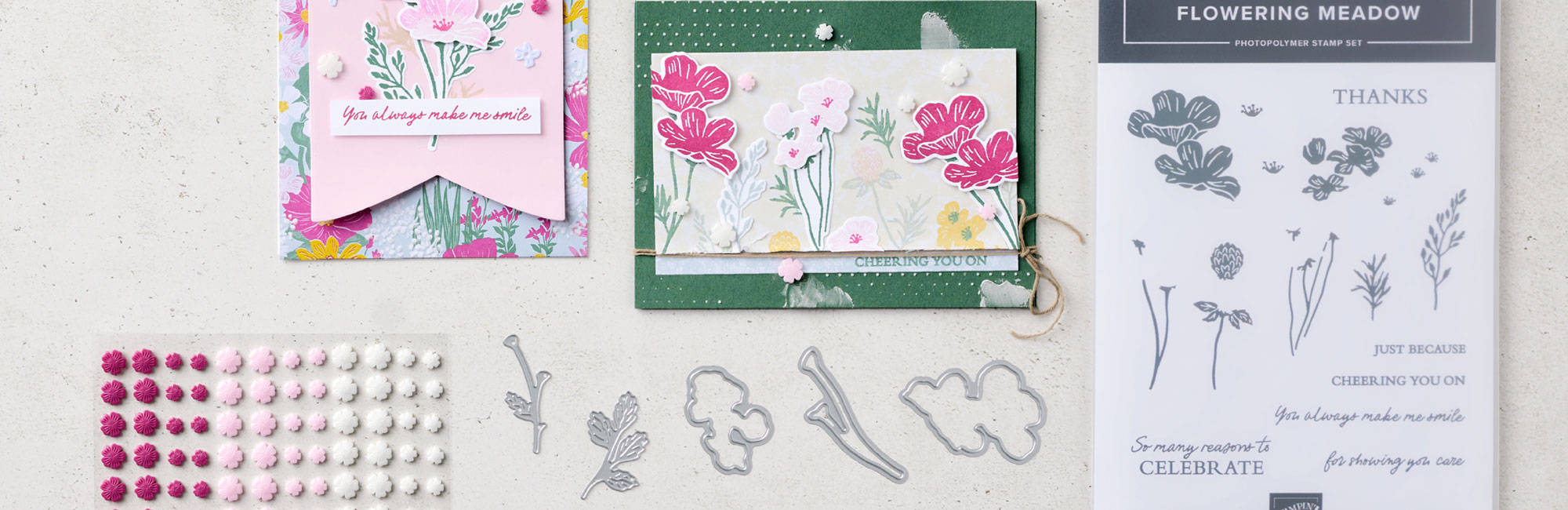 Dbws hmpg main2 all 0526 product release